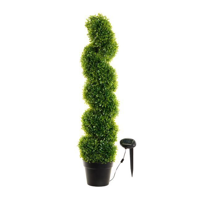 Spiral Solar Hedge Tree