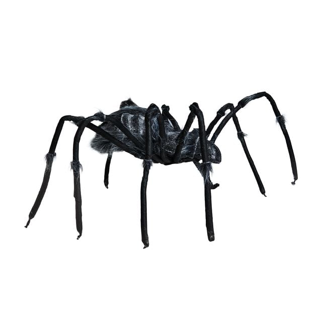 Giant Skeleton Spider