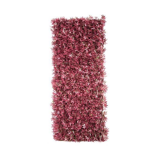 Red Acer Willow Trellis 1M x 2M