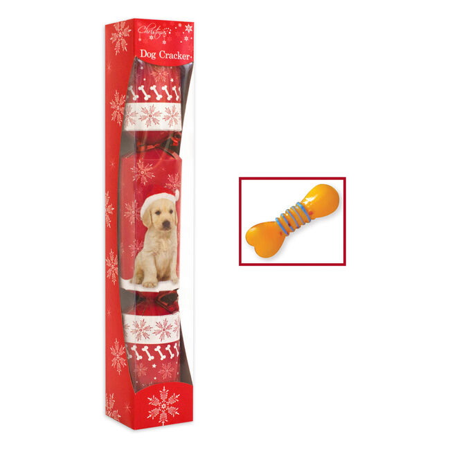 Novelty Dog Christmas Cracker