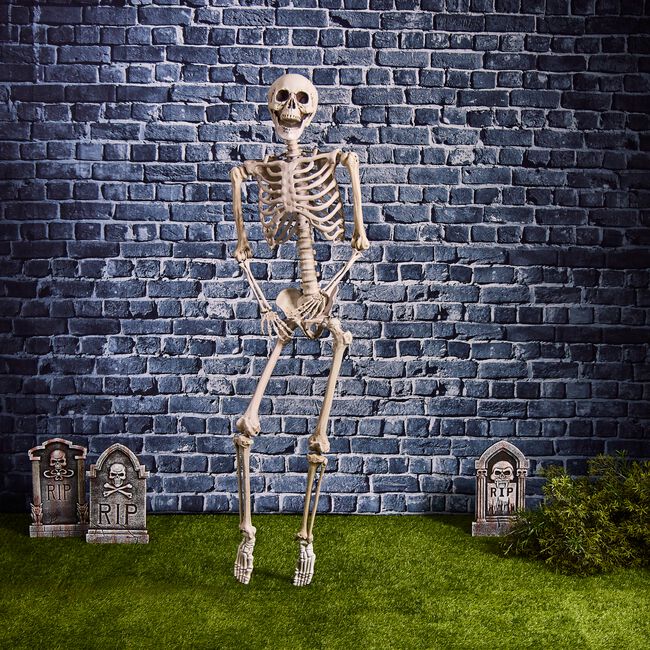 Hanging Skeleton 