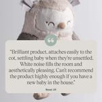 Tommee Tippee Ollie Owl Deluxe Baby Sleep Aid