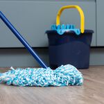 Flash Ultrafibre Micro Mop & Refill