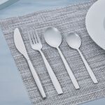 Master Cutler Rome 16 Piece Cutlery Set