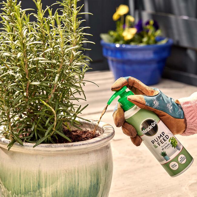 Miracle-Gro Pump & Feed Houseplant Food 200ml
