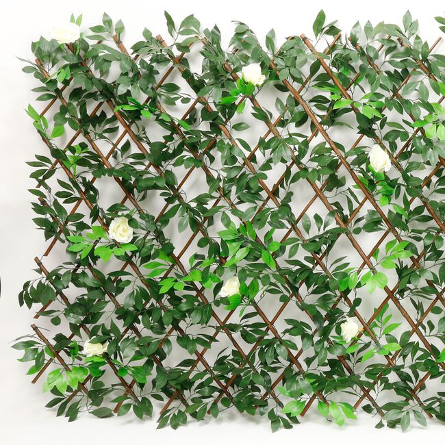 Rose Willow Trellis 2m