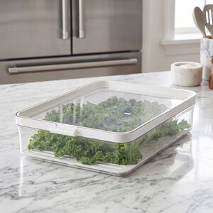 Felli Vision 2.0L Fridge Storage Box