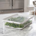 Felli Vision 2.0L Fridge Storage Box