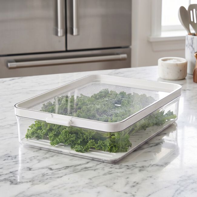 Felli Vision 2.0L Fridge Storage Box