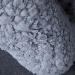 Teddy Socks Pair - Steel