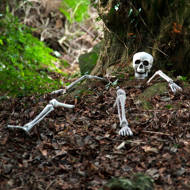 Lifesize Ground Breaking Skeleton
