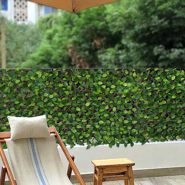 Rose Leaf Willow Trellis 2M X 1M