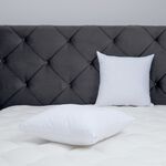 Nicole Day Cushion Filler Protector - 2 Pack