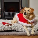 Christmas Pet Santa Costume - Large