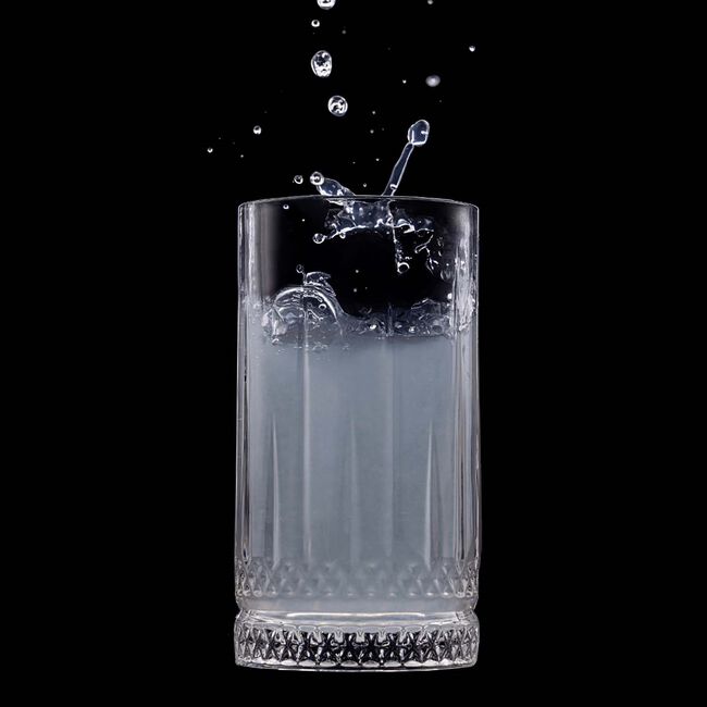Ravenhead Winchester Set Of 2 Hi-Ball Glasses