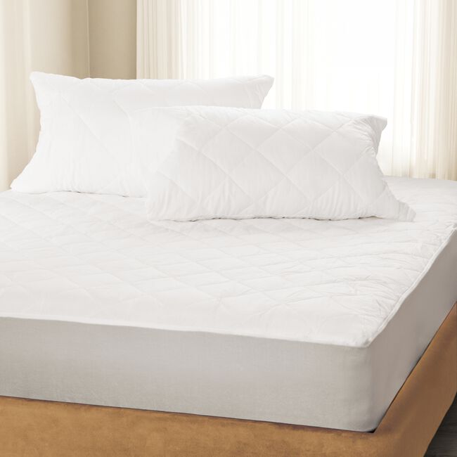 Anti Allergy Pillow Protector Pair