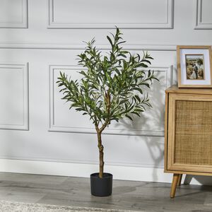1.1M Olive Tree