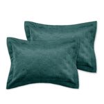 CATHERINE LANSFIELD ART DECO PEARL TEAL 50x75cm Pillowshams