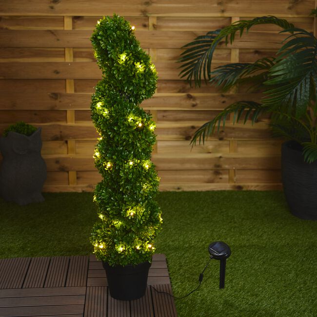 Spiral Solar Hedge Tree