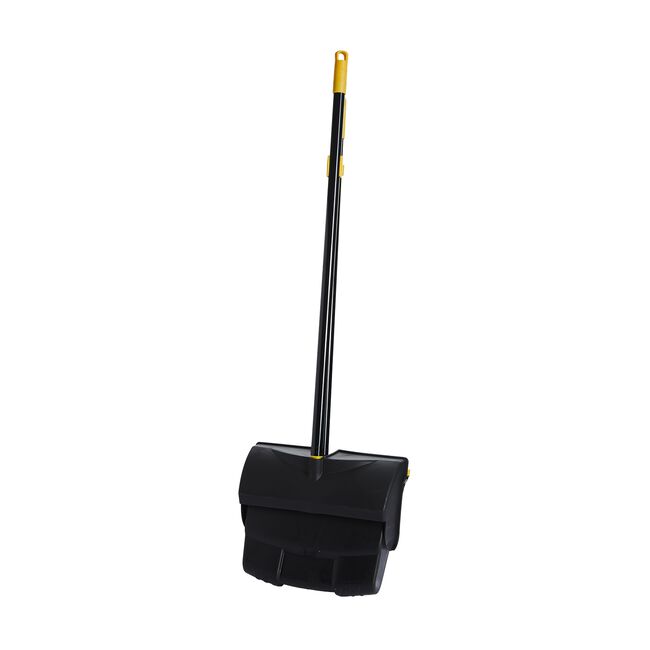 Gleam Clean Bee Long Handle Brush and Dustpan
