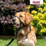 Halti Headcollar Size 0 Black