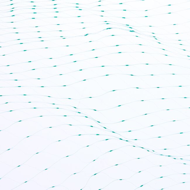 6 x 4m Garden Netting
