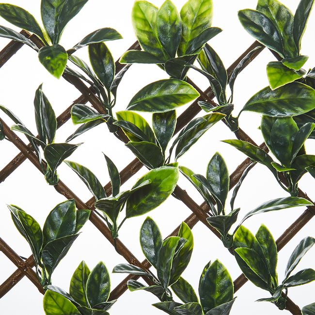 Laurel Willow Trellis 180cm x 30cm