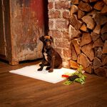 Premium Puppy Pads - 50 Pack