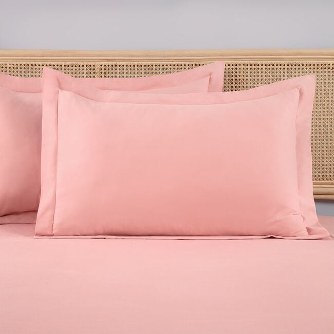 OXFORD PILLOWCASE PAIR Brushed Cotton Twill Pink