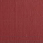 Interwoven Border Placemat Red