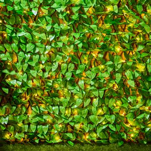 Boxwood Solar Leaf Trellis 2M x 1M