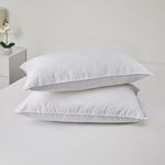 Cluster Ball Fibre Pillow Pair
