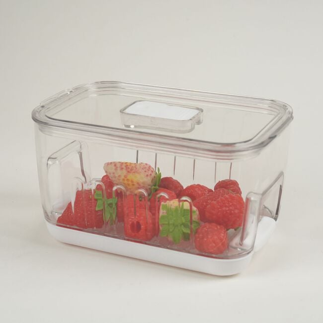 Storage Master Keep Fresh Small Storage