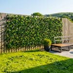 Rose Leaf Willow Trellis 2M X 1M
