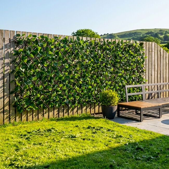 Rose Leaf Willow Trellis 2M X 1M