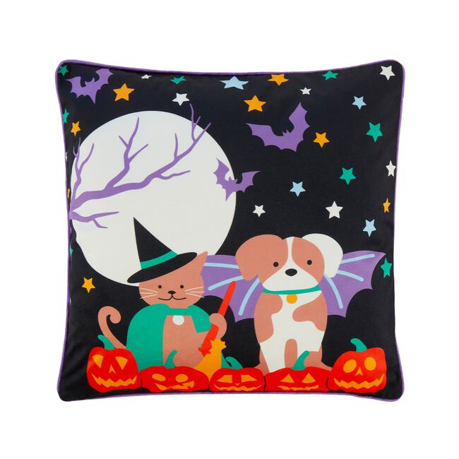 Spooky Pets Cushion Covers 2 Pack - 45cm x 45cm