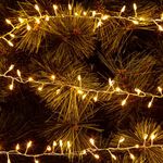 200 Warm White Mini LED Cluster Lights