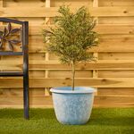 14" BLUE Floral Serenity Plant Pot