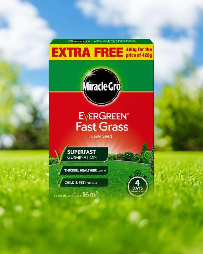 420g Miracle-Gro Evergreen Fast Grass Lawn Seed