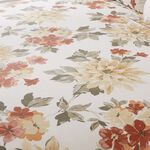 ANNA Single Fitted Sheet 