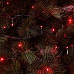 240 RED Led String Lights