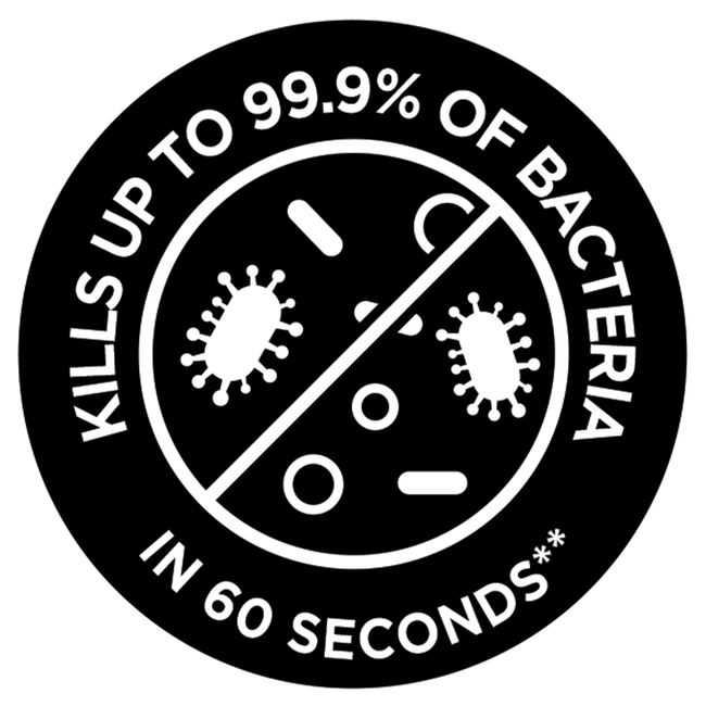 Russell Hobbs Steam Genie Aroma Garment Steamer