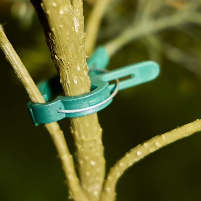 Plant Clips 20 Pack