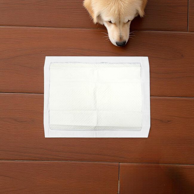 Puppy Training Pads - 6 Pack