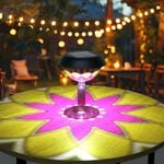 3 in 1 Projection Solar Garden Light