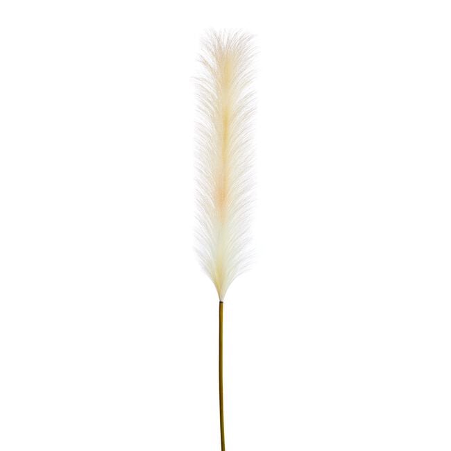 Pampas Single Stem Natural 96cm