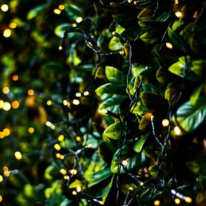 400 Warm White LED Solar String Lights