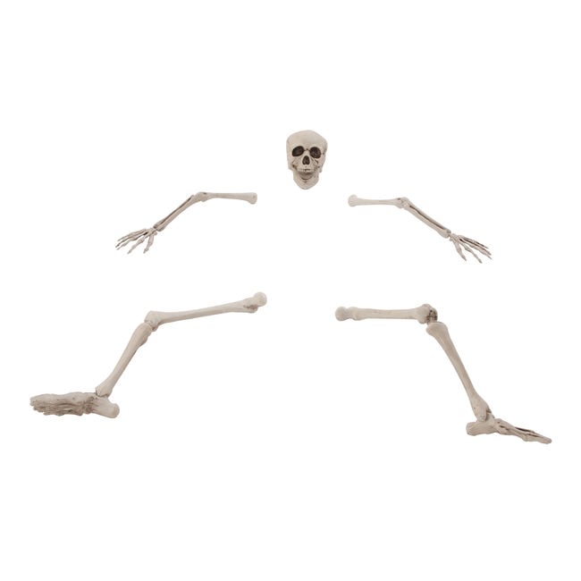 Lifesize Ground Breaking Skeleton