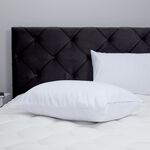 Nicole Day Scented Eucalyptus Pillow Protector 2Pk