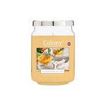 Colony Large Jar Summertime Splash 475g Candle